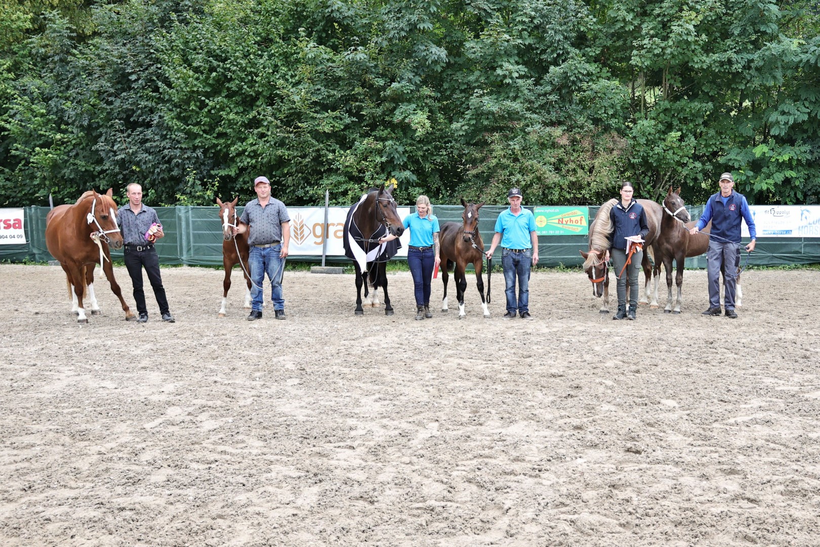 1.-3. Platz Hengstfohlen